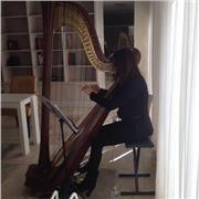 Insegnate di arpa a Brescia per bambini alle prime armi ad adulti che vogliono dilettarsi in questo strumento